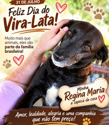 DIA DO VIRA-LATA: AMOR, FIDELIDADE E GRATIDÃO EM QUATRO PATAS