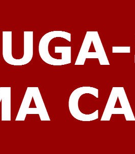 ALUGA-SE CASA