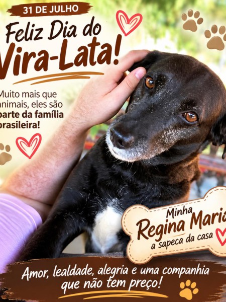 DIA DO VIRA-LATA: AMOR, FIDELIDADE E GRATIDÃO EM QUATRO PATAS