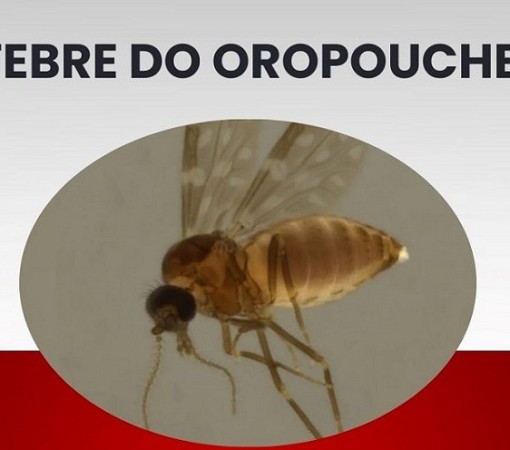 FEBRE DO OROPOUCHE}