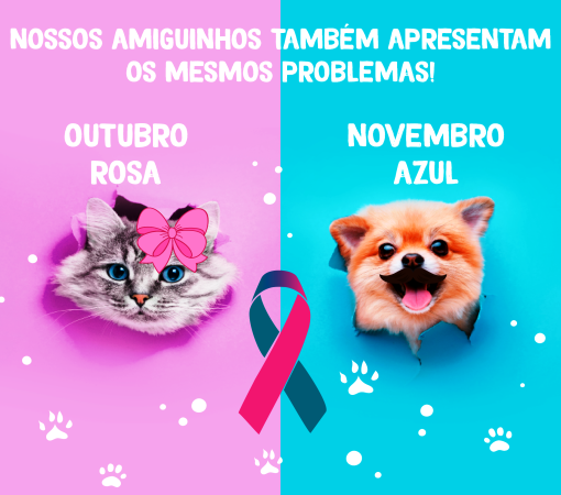 OUTUBRO ROSA E NOVEMBRO AZUL PARA PETS TAMBÉM É IMPORTANTE}