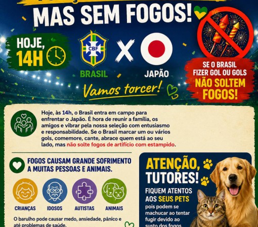BRASIL EM CAMPO: TORÇA COM ALEGRIA, COMEMORE COM RESPEITO E SEM FOGOS!}