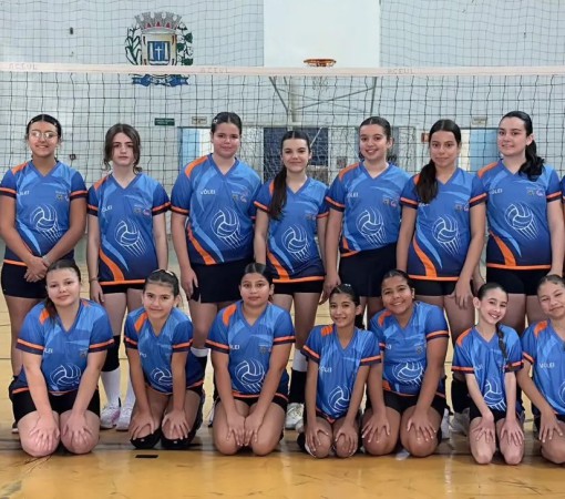 VÔLEI LEME ACEUL RECEBE FESTIVAL DA APV EM LEME}