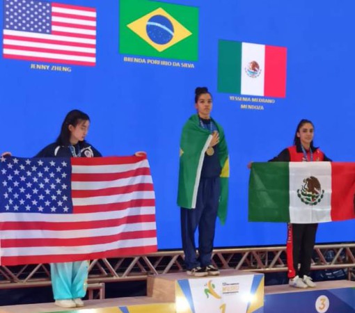Campeonato Pan-Americano de Kung Fu Wushu}