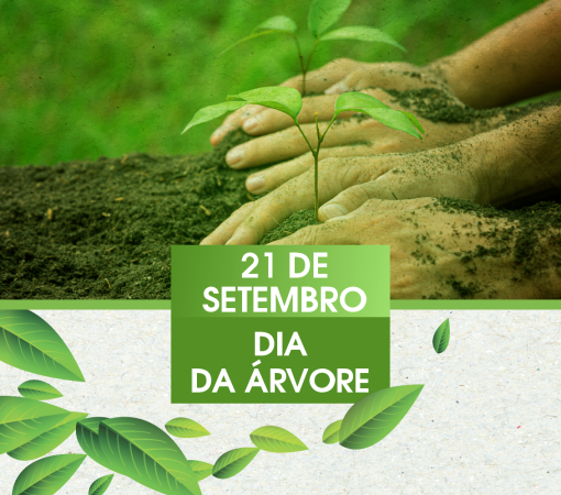 21 Setembro, Dia da Árvore}