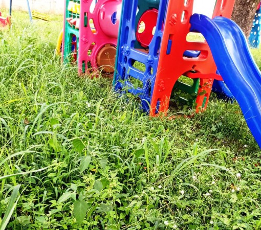 VOLTA ÀS AULAS NA REDE MUNICIPAL FOI MARCADA POR MUITAS RECLAMAÇÕES DE MATO ALTO E FALTA DE INFRAESTRUTURA NAS ESCOLAS MUNICIPAIS}