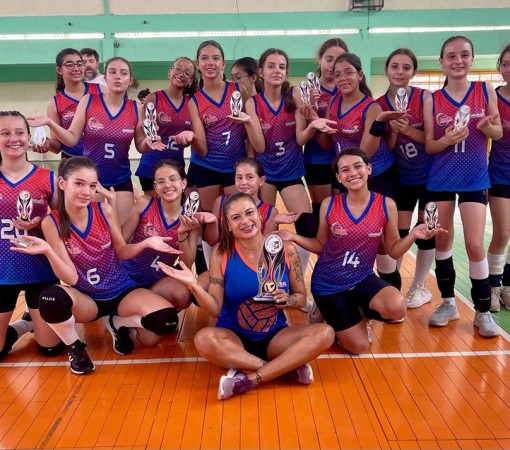 Equipe Lemense é a VICE-CAMPEÃ da Série Prata do Campeonato Regional APV de Voleibol 2023}