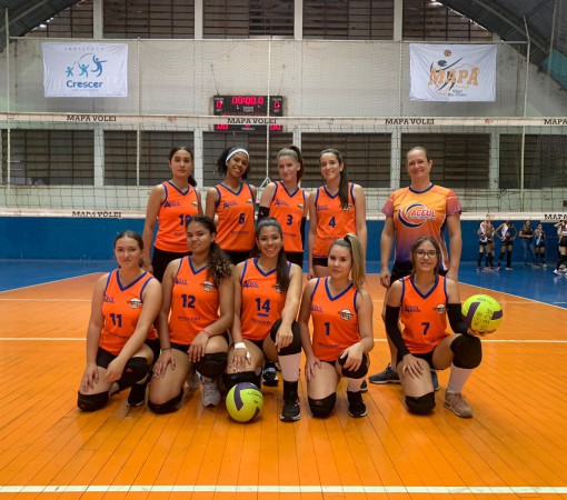 Campeonato APV de Voleibol categoria infantil}