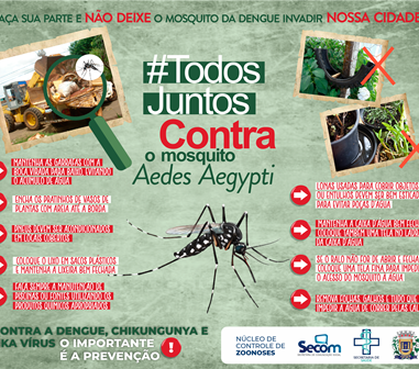 TODOS JUNTOS CONTRA O MOSQUITO AEDES AEGYPTI}