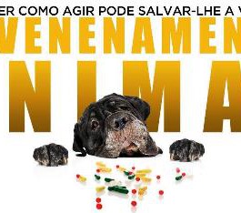 ENVENENAMENTO EM PET: SAIBA QUAIS SÃO OS PRIMEIROS SOCORROS NESSES CASOS}
