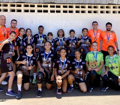 Liga de Handebol do Estado de São Paulo}