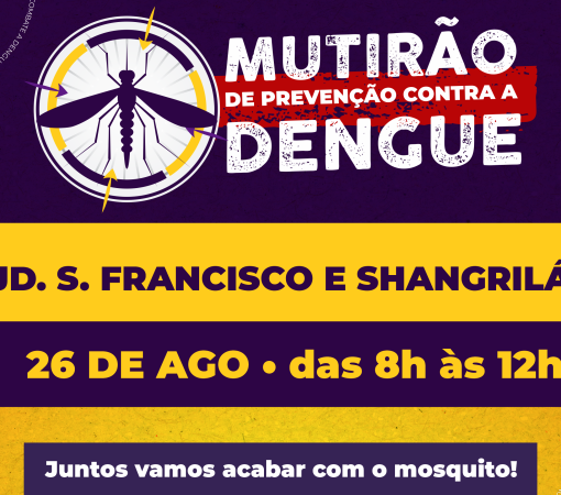 Mutirão contra o Aedes aegypti nos Bairros Jardins Shangrilá e São Francisco dia 26 de Agosto}