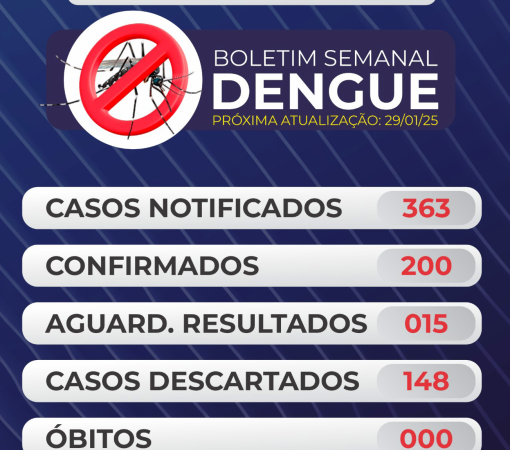 BOLETIM Nº 002 – DENGUE}