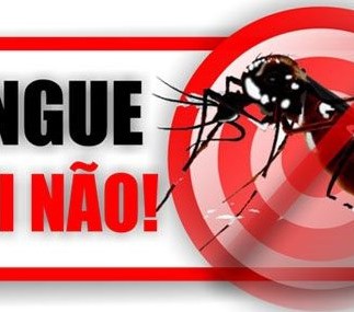 Situação da Dengue no Município de Leme}