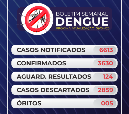 BOLETIM Nº 012 DENGUE}