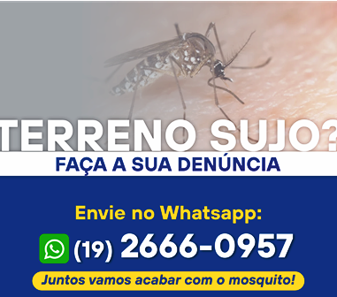 CANAL PARA DENÚNCIAS VIA WHATSAPP EXCLUSIVAMENTE PARA TERRENOS SUJOS}