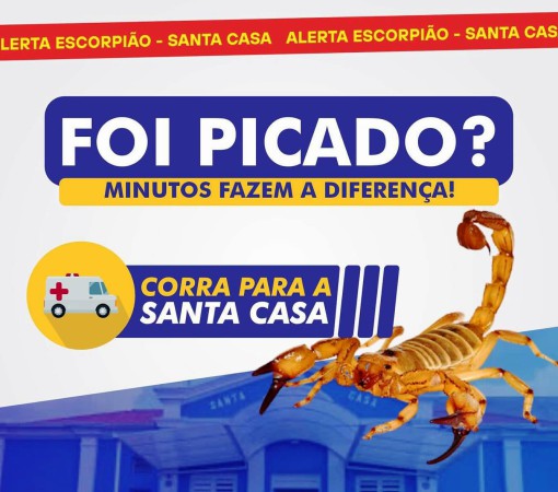 PICADA DE ESCORPIÃO: CORRA PARA A SANTA CASA}