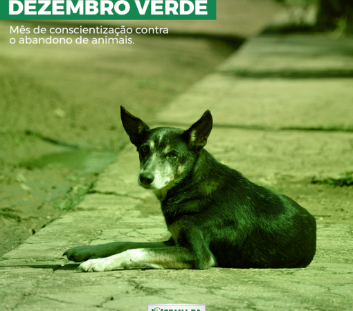 DEZEMBRO VERDE: COMBATE AO ABANDONO DE ANIMAIS}
