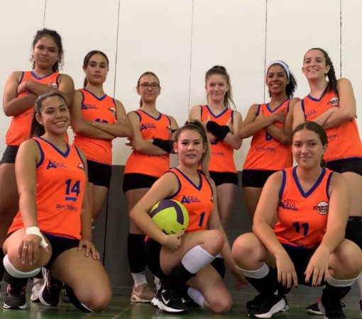 Volei APV Feminino}