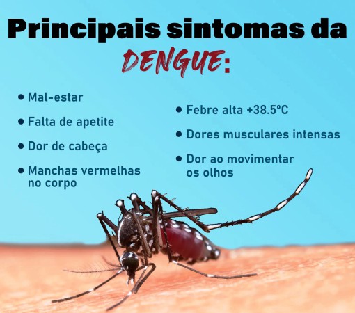 BOLETIM DA DENGUE: LEME CONFIRMA 1.215 CASOS DE DENGUE}