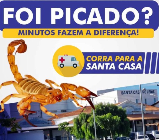 ATENÇÃO!  PICADA DE ESCORPIÃO, ARANHA OU COBRA: CORRA PARA A SANTA CASA}
