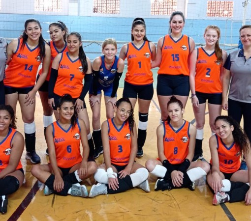 Voleibol Feminino Categoria Infanto Juvenil}
