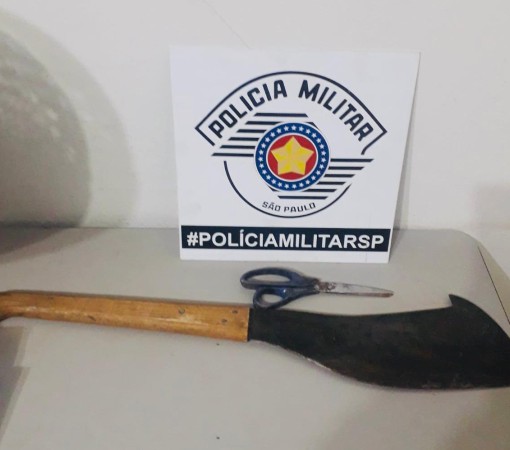 VIOLÊNCIA DOMÉSTICA DE 09/03/2025}