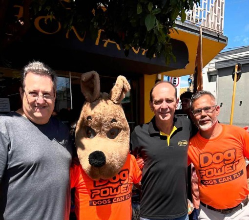CAUSA ANIMAL: EVENTO SOLIDÁRIO ARRECADA MAIS DE 600 QUILOS DE RAÇÃO PARA ANIMAIS EM LEME}