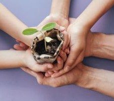 ABREE LISTA DICAS PARA PROMOVER EDUCAÇÃO AMBIENTAL EM CASA}