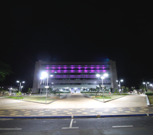 PAÇO MUNICIPAL PASSA A RECEBER ILUMINAÇÃO TEMÁTICA EM APOIO ÀS CAMPANHAS DE CONSCIENTIZAÇÃO}