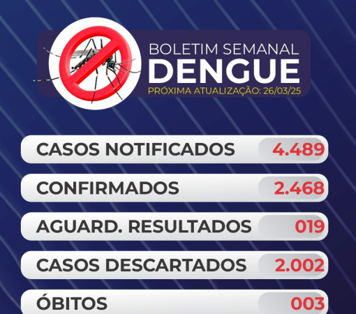 BOLETIM Nº 010 DENGUE}
