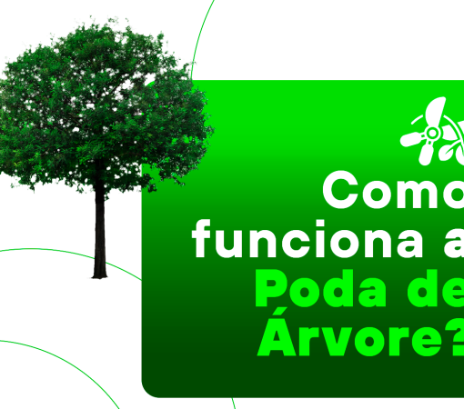 ORIENTAÇÕES SOBRE PODA DE ÁRVORES}