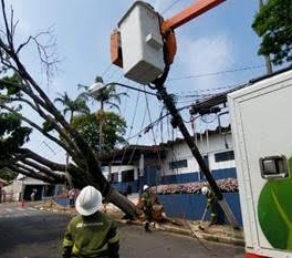 CONCESSIONÁRIA DE ENERGIA ALERTA PARA RISCOS COM A REDE ELÉTRICA DURANTE TEMPESTADES DE VERÃO}