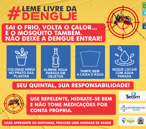 LEME LIVRE DA DENGUE}