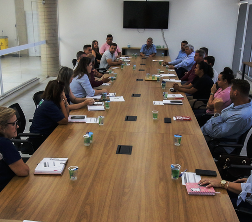 REUNIÃO SOBRE O ENFRENTAMENTO À DENGUE}