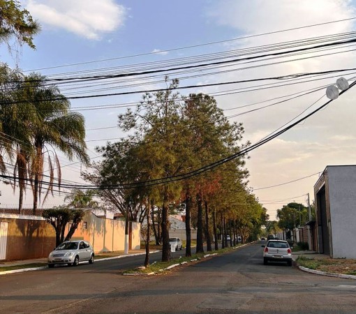 VEREADOR DR. DAVID PEDRÃO COBRA AÇÕES URGENTES DA PREFEITURA DIANTE DE PROBLEMAS QUE AFETAM O DIA A DIA DA POPULAÇÃO}