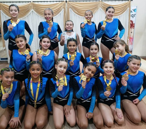 GINASTAS DE LEME CONQUISTAM EXCELENTES RESULTADOS EM COMPETIÇÃO ESTADUAL}