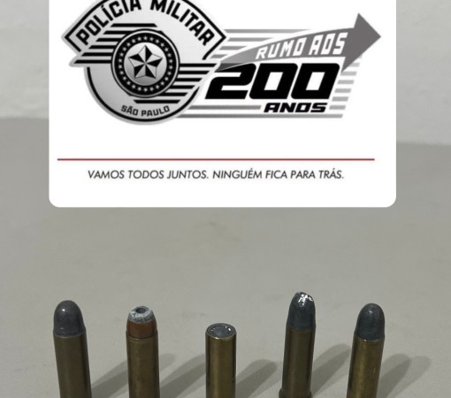 Porte Ilegal de Arma de Fogo (Munição)}