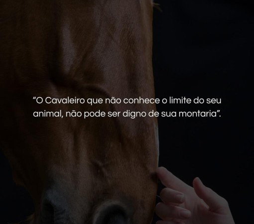 CRUELDADE EM BANANAL: A MORTE POR CRUELDADE  QUE CLAMA POR JUSTIÇA}