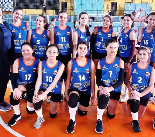 Vôlei Feminino - Temporada APV 2023}