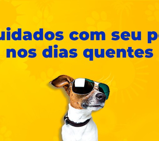 ALTAS TEMPERATURAS: REDOBRE OS CUIDADOS COM OS ANIMAIS DE ESTIMAÇÃO}