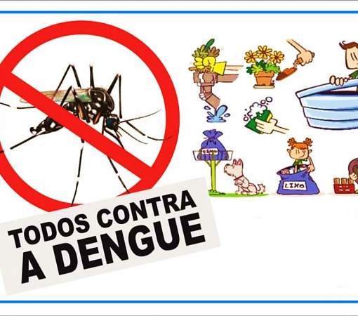TODOS CONTRA A DENGUE}