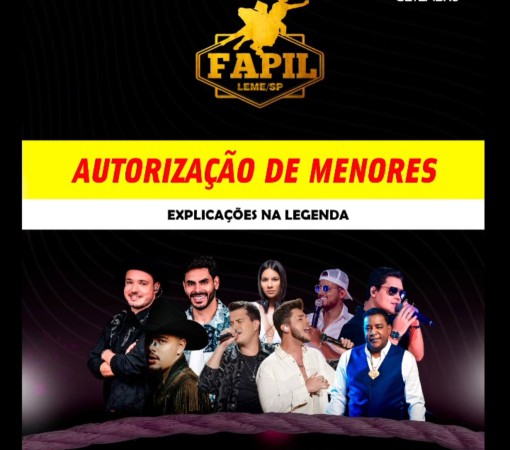 Resumo da decisão judicial para ingresso de menores na FAPIL:}
