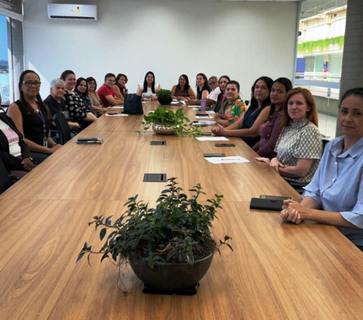 REUNIÃO ORDINÁRIA DO CMDCA DESTACA IMPORTÂNCIA DO FUNDO MUNICIPAL DOS DIREITOS DA CRIANÇA E DO ADOLESCENTE - FMDCA}