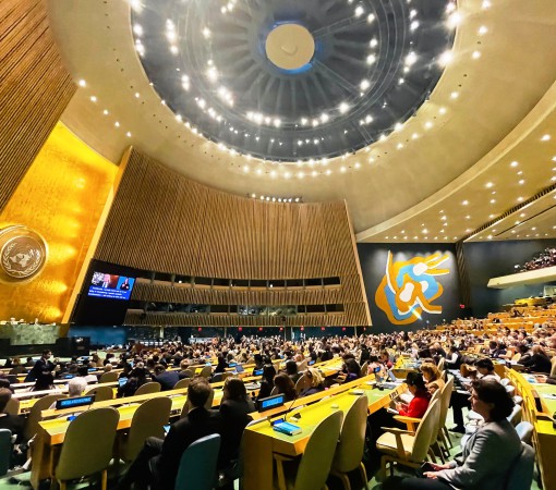 BOAS PRÁTICAS SOCIOEDUCACIONAIS DA LBV SÃO COMPARTILHADAS NA 69ª SESSÃO DA COMISSÃO SOBRE A SITUAÇÃO DA MULHER, DA ONU}
