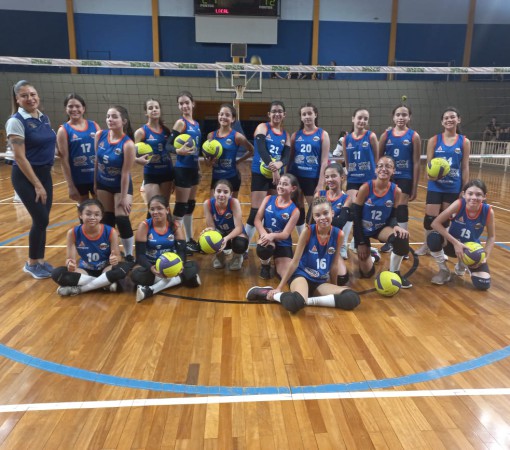 Festival APV de Voleibol Feminino - Categoria Pré - Mirim}