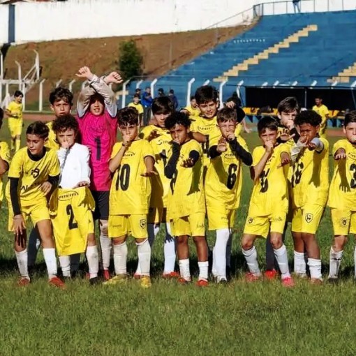 COPA LEME DE FUTEBOL DE BASE É ENCERRADA COM DECISÕES EM TRÊS CATEGORIAS}