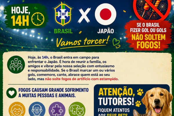 BRASIL EM CAMPO: TORÇA COM ALEGRIA, COMEMORE COM RESPEITO E SEM FOGOS!}