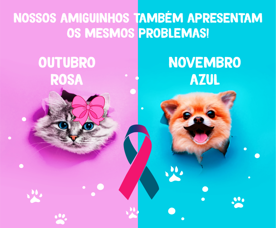 OUTUBRO ROSA E NOVEMBRO AZUL PARA PETS TAMBÉM É IMPORTANTE
