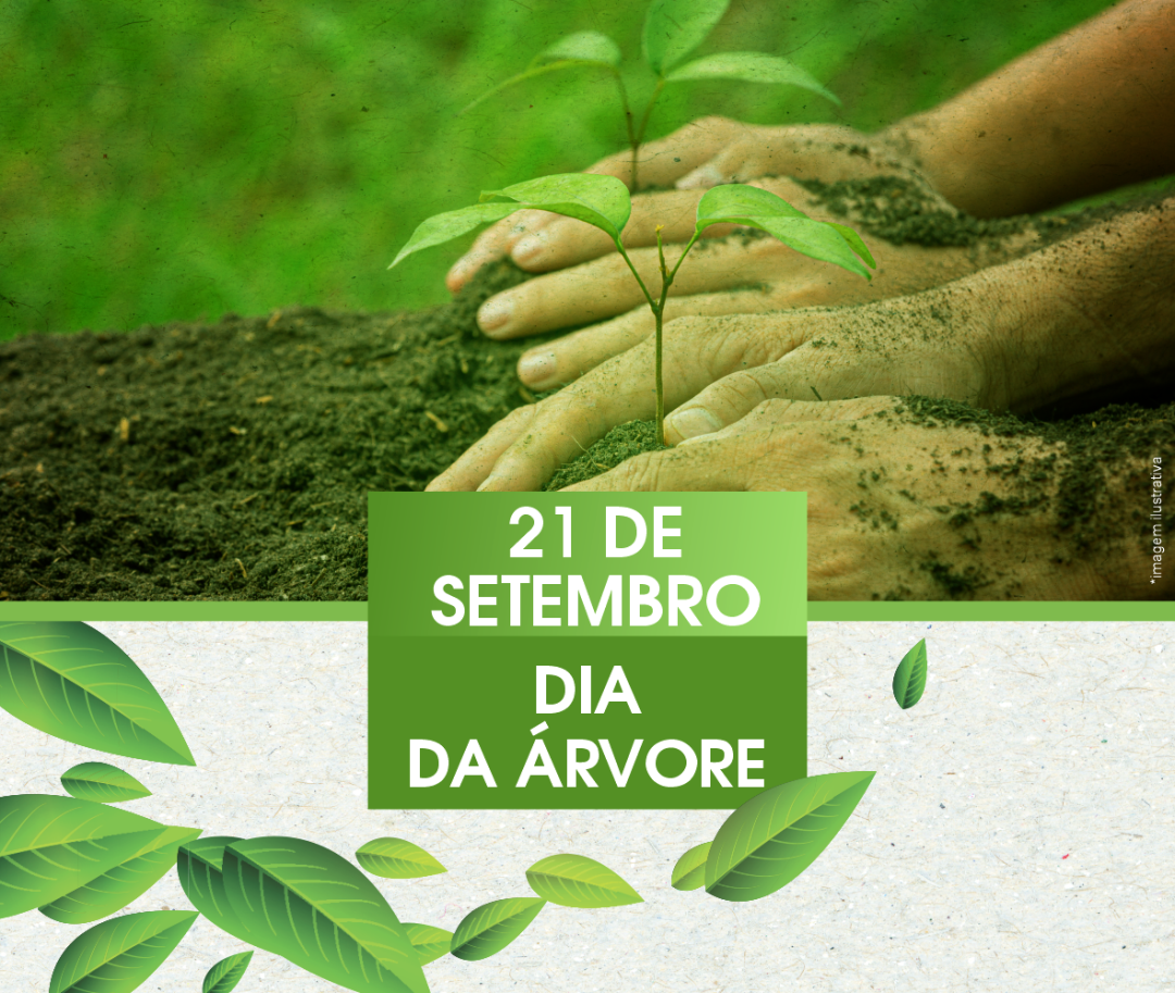 21 Setembro, Dia da Árvore